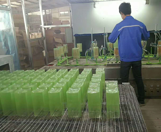 定槍環(huán)繞式生產線