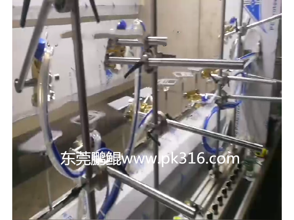 電子秤自動(dòng)噴涂流水線